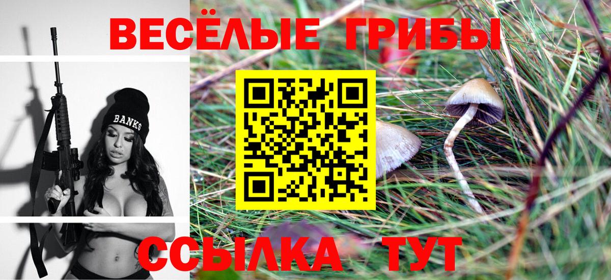 Псилоцибиновые грибы мухоморы Корсаков