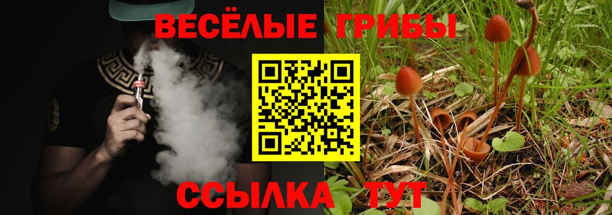 Галлюциногенные грибы прущие грибы  Псилоцибиновые грибы прущие грибы  Вход с VPN  где найти   Корсаков 
